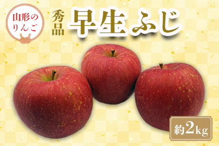 【2025年発送】「秀品」山形のりんご（早生ふじ）約2kg_H212(R7)