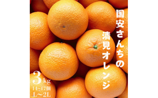 ＜まるで食べるジュース!越冬完熟品＞愛媛産 清見オレンジ 3kg＜C20-39＞【1594850】