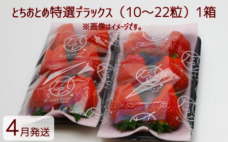 【4月発送】とちおとめ特選デラックス（10～22粒）1箱