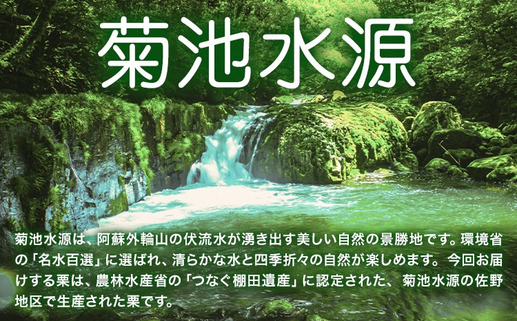 菊池水源産 さのマロン 冷凍剥き栗 500g×1個