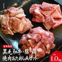 【ふるさと納税】宮崎県産 牛・豚・鶏 焼肉おためしAセット 計1kg（牛肉 豚肉 鶏肉 和牛 焼肉 訳あり 小分け 食べ比べ）