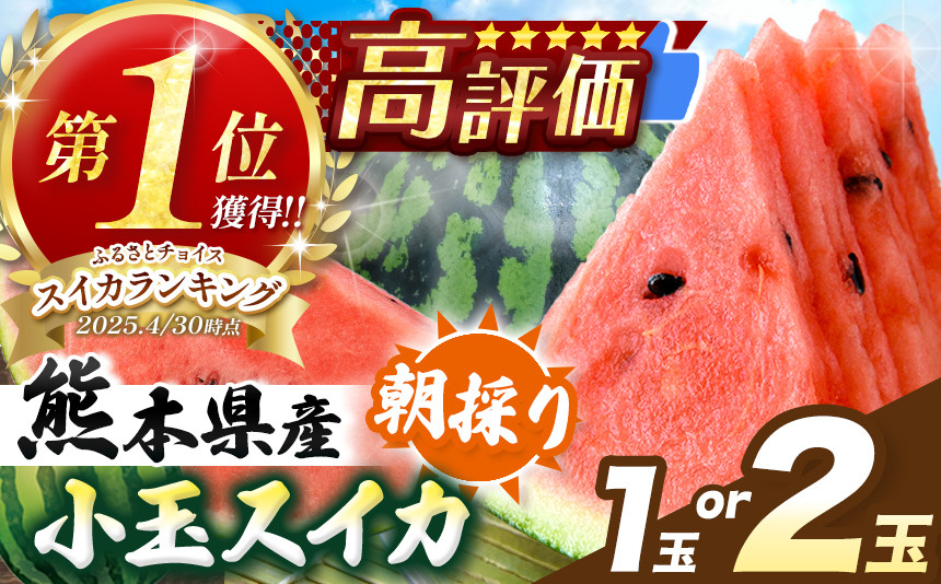 
            5月 好評出荷中！！ 小玉 スイカ（赤色）1玉 or 2玉 熊本県 和水町 産 【2025年4月中旬〜6月頃まで順次発送】 | 熊本県 熊本 くまもと 和水町 なごみまち なごみ すいか スイカ 西瓜 小玉 甘い 2玉 期間限定 季節の果物 果物 フルーツ 産地直送
          