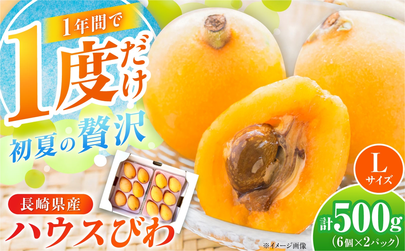 
                  ハウスびわ 500g Lサイズ12個（6個×2P）＜2027年4月お届け＞ 長崎県/やまぐち農園 [42AACQ003] びわ ビワ 枇杷 果物 フルーツ ハウス 果実 長崎県産 国産
                