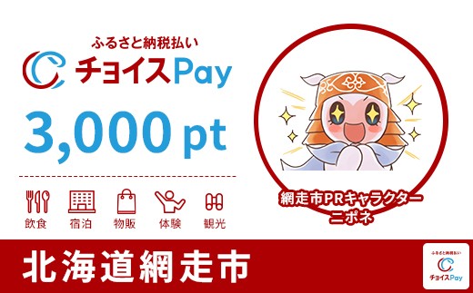 
            網走市チョイスPay 3,000pt【会員限定のお礼の品】
          