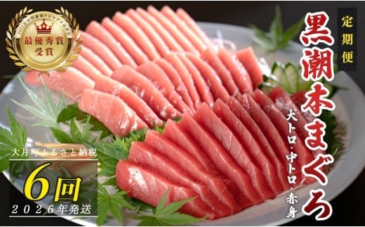 
            【定期便6回】日本一!黒潮本まぐろ 大トロ・中トロ・赤身 3種セット
          
