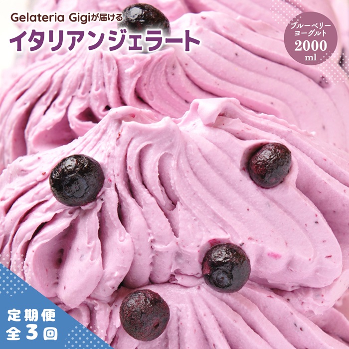 【定期便：全3回】ジェラテリアGigiのイタリアンジェラート『ブルーベリーヨーグルト』2000ml【43027AB0301】