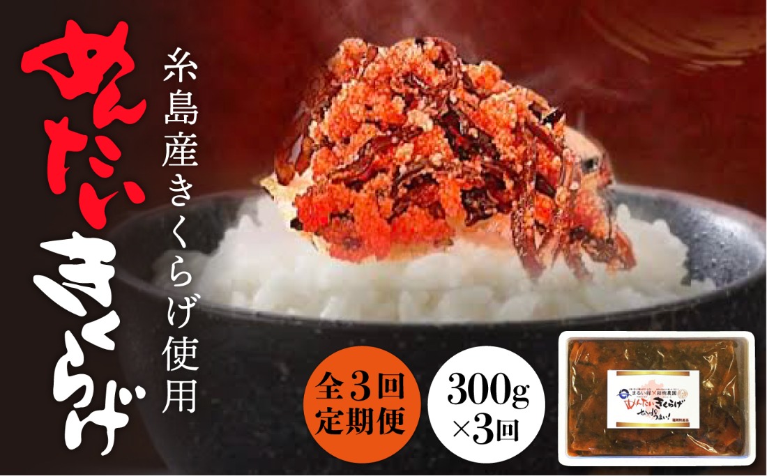 【全3回定期便】結樹農園 アグリス めんたい きくらげ 300g 《糸島》【結樹農園アグリス】きくらげ/国産/明太/明太子 [AAJ005]