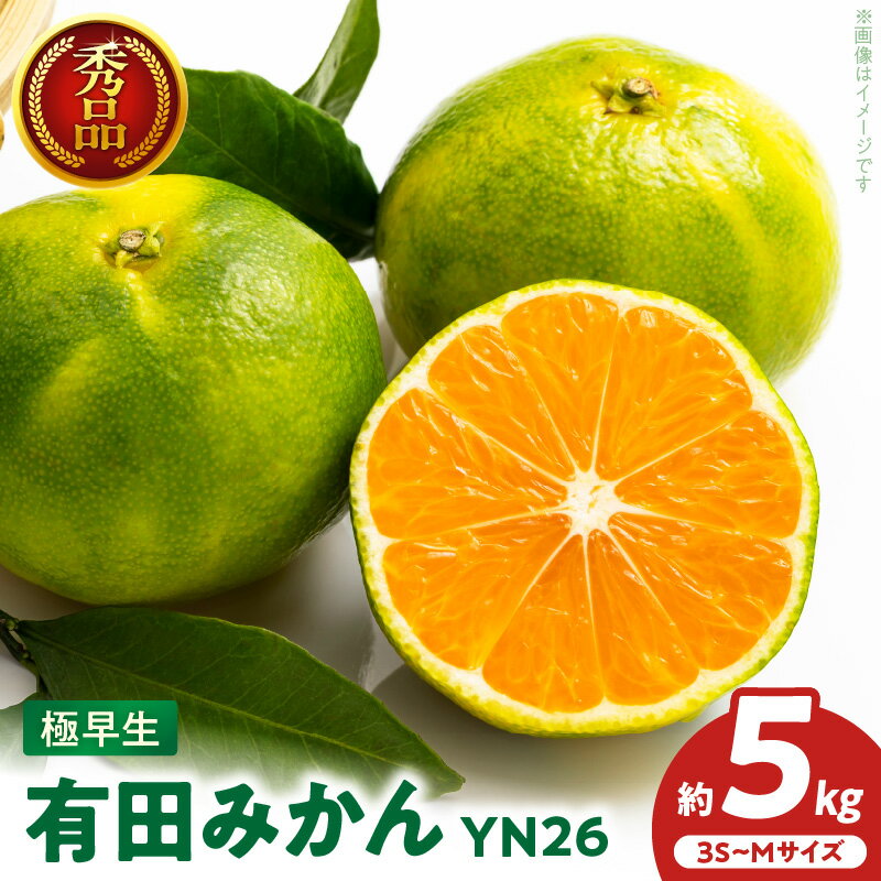 【ふるさと納税】限定 有田みかん 極早生 YN26 秀品 お任せ サイズ 3S〜M 約5kg 糖度 高い 酸味 バランス 絶妙 むきやすい 手軽に 食べられる 爽やか 甘み 後味 すっきり 有田 みかん 柑橘 果物 フルーツ お取り寄せグルメ お取り寄せ グルメ 和歌山県 湯浅町 送料無料