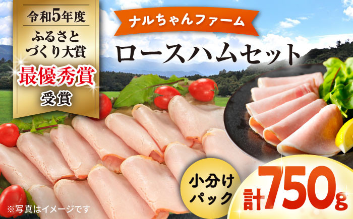
            ナルちゃんファーム ロースハム750gセット / ロースハム 詰合せ 小分け / 大村市 / おおむら夢ファームシュシュ [ACAA295]
          