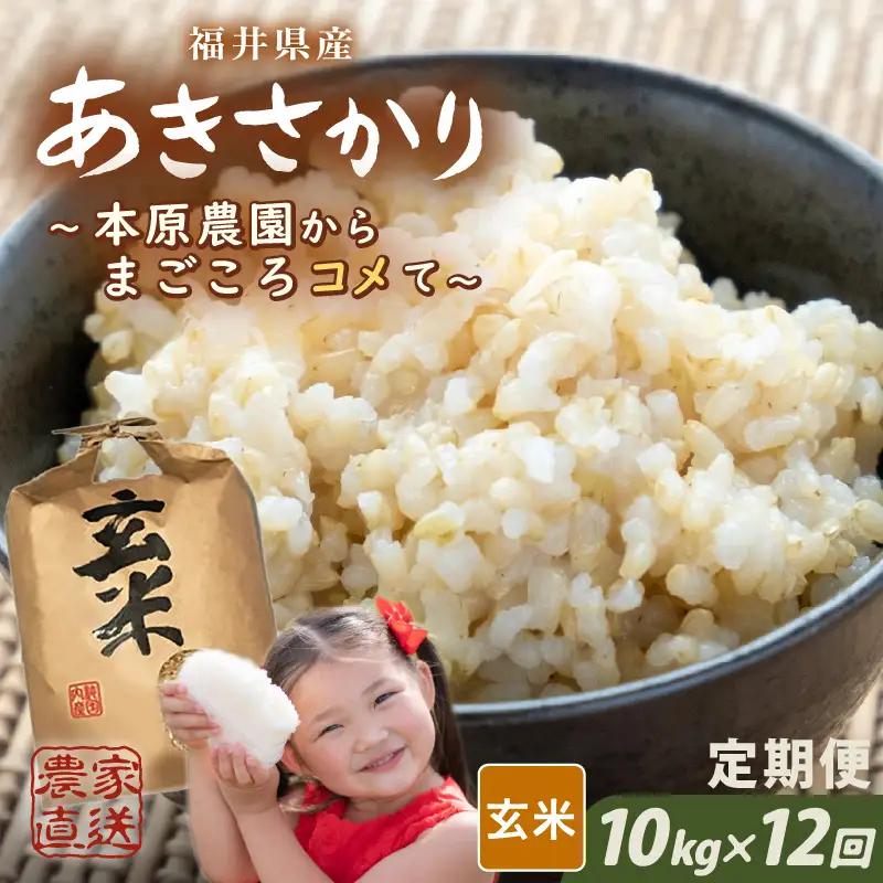 先行予約 令和8年産 新米 (玄米) 定期便 12ヶ月連続お届け あきさかり 10kg (5kg×2袋) × 12回 計120kg ブランド米 米 2026年10月上旬以降順次発送 [O-8912_02]