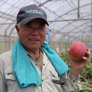 【2026年7月から順次発送・贈答用】名物おじーが作るアップルマンゴー2kg(4～5玉)【配送不可地域：離島】【1694665】