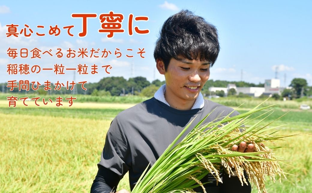 【令和7年度新米】龍ケ崎の特別栽培米 コシヒカリ 5kg(5㎏×1袋) ❙ こしひかり お米 米 こめ 白米 精米 新米 特別栽培米 冷めてもおいしい 美味しい こだわり おにぎり 茨城県 龍ケ崎市産