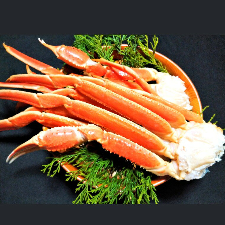 【ふるさと納税】G0697　ボイルズワイガニ　2L（化粧箱入り）かに　ズワイガニ　鍋　かに鍋　肩付き　肩付きかに足　脚　2L