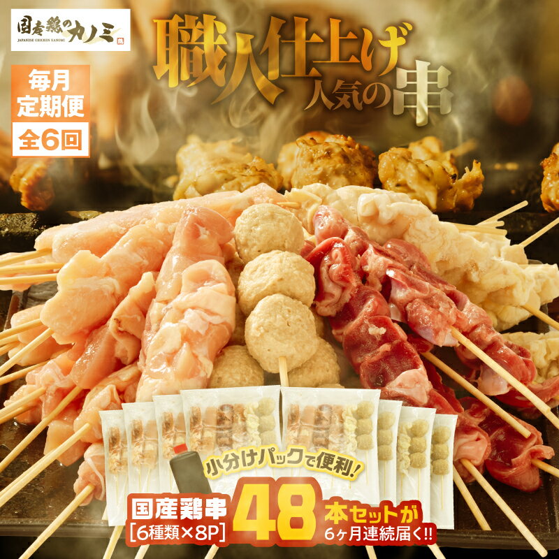 【ふるさと納税】【毎月定期便】国産 鶏串48本セット（6種×8パック）×全6回 計288本（鶏もも・鶏むね・砂肝・肩肉・鶏皮・つくね）定期便 お楽しみ 焼鳥 焼き鳥 鶏肉 やきとり たれ付き バーベキュー BBQ 惣菜 お弁当 冷凍 急速冷凍 個包装 小分け【株式会社カノミ】