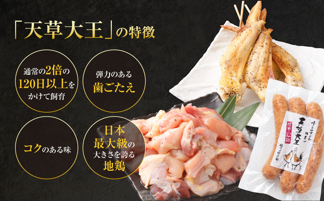 天草大王プレミアムバーベキューセット（小） 計9パック 天草大王 焼鳥 手羽先 串 ウインナー コロコロカット