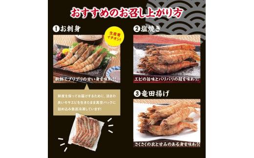 猛者海老 15匹×3パックセット【山根商店】