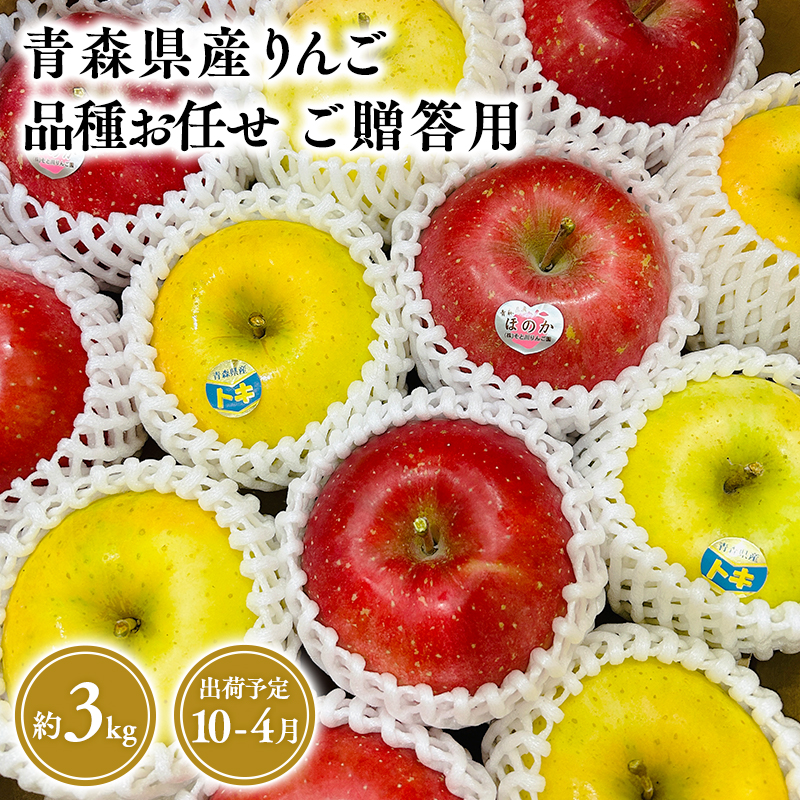 品種お任せ　贈答用　旬のりんご詰め合わせ３㎏