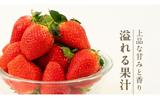 《 2027年 収穫分 》 完熟 かおり野 260g×4パック KEK 国産 いちご イチゴ 苺 くだもの 果物 フルーツ 冬 春 旬 [BC032sa]