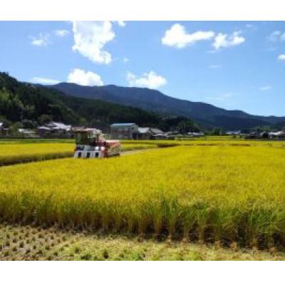ふるさと納税 鬼北町 【自然環境米】鬼北のせせらぎ5kg(鬼北町産コシヒカリ) |  | 03