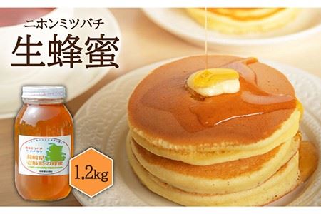 ニホンミツバチ 生蜂蜜 1,200g×1 [JCL003] ハチミツ 蜂蜜