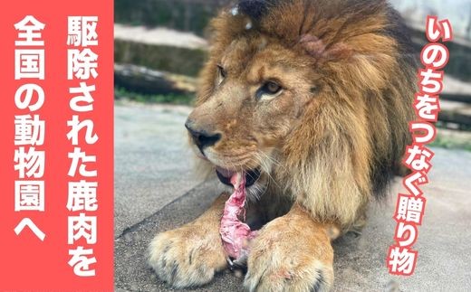 命をつなぐ鹿肉で動物支援 ～動物園への推し活返礼品～