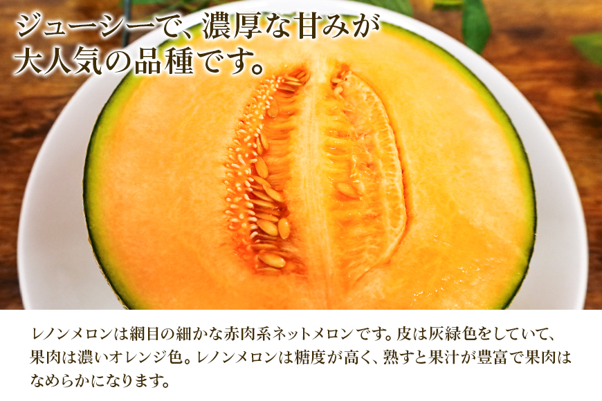 【数量限定・先行予約】おみたまレノンメロン（赤肉）約5kg（4玉～5玉） 秀品  メロン 高級 果物 くだもの フルーツ ギフト 贈り物 贈答用 国産 茨城 小美玉 【7月11日まで受付・6月以降順次