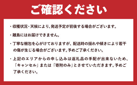 旬の野菜詰合せ 野菜 セット【配達不可：離島】[AEAE001]
