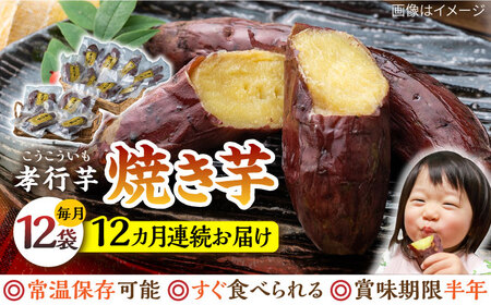 【全12回定期便】孝行芋 焼き芋 12袋  対馬 やきいも 甘い おやつ スイーツ [WAI056]