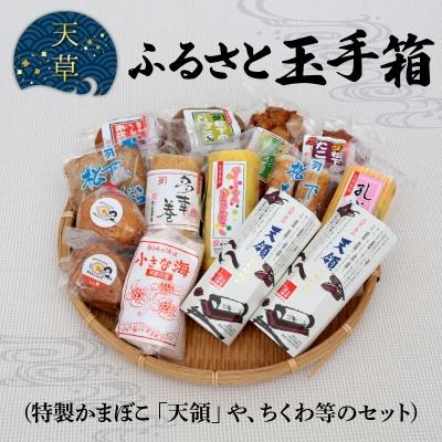 ふるさと納税 天草市 〈先行受付〉天草ふるさと玉手箱(特製かまぼこ「天領」やちくわ等のセット)_S032-001A