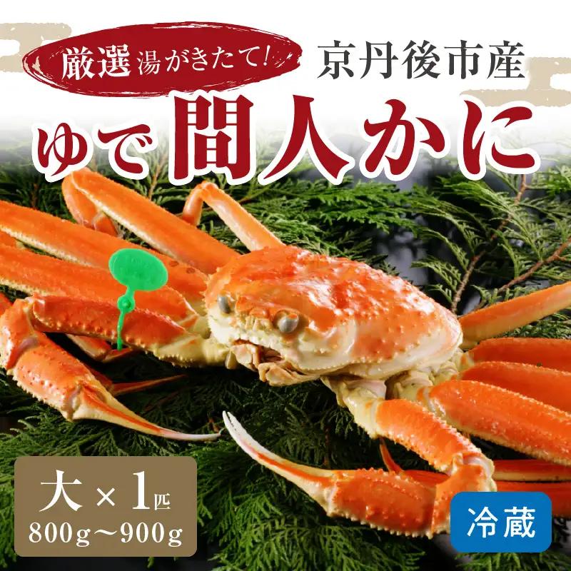 かに卸問屋がお届け・自社釜ゆで！幻のゆで間人ガニ 800ｇ～900ｇ 大サイズ （1月～3月発送）／北畿水産 かに