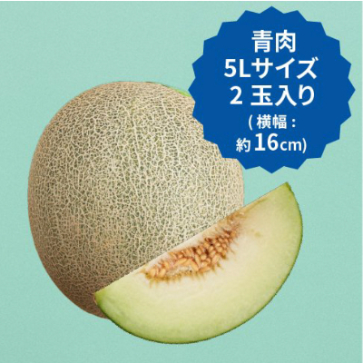 
＜2025年分先行予約＞飯岡メロン　5Lサイズ(約1.7kg)×2玉セット(計約3.4kg)【1136458】
