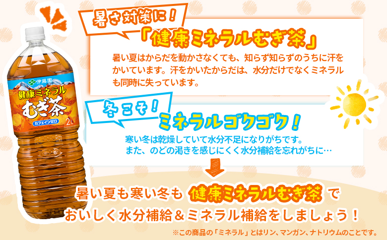 『定期便：全8回』健康ミネラルむぎ茶2L×6本×2箱【500020】