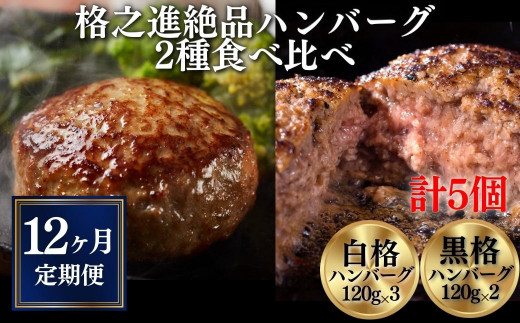 
【定期便／12ヶ月】《格之進》絶品ハンバーグ【白格・黒格】食べ比べセット(120g)計5個×12回お届け プレミアム お弁当 個包装 お惣菜 小分け 子供 簡単調理 肉 岩手 一関 贈り物 ギフト お取り寄せ 冷凍 人気
