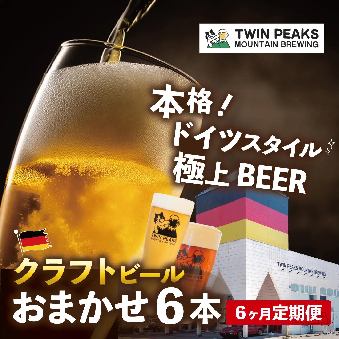【6ヵ月定期便】クラフトビール おまかせ6本 ビール