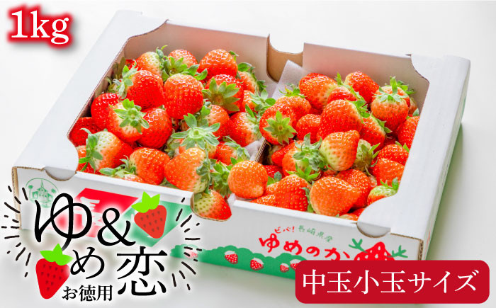 
            【先行予約】お徳用 バラ詰め イチゴ 1kg （ゆめのか・恋みのり）【2026年2月以降順次発送】《壱岐市》【蒼花】[JEO002] いちご イチゴ 苺 フルーツ 果物 スムージー ジャム ゆめのか 恋みのり セット 食べ比べ  冷蔵 10000 10000円 7千円
          
