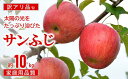 【ふるさと納税】【令和7年産先行予約】 〈訳あり品 家庭用〉 JA りんご 「サンふじ」 約10kg (28玉～46玉) 《令和7年11月中旬～12月中旬発送》 『JA山形おきたま』 林檎 リンゴ 果物 フルーツ 山形県 南陽市 [1410-R7]