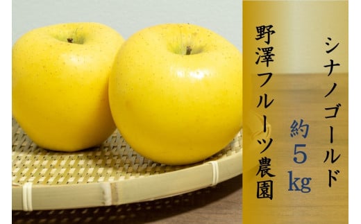 385 先行予約 りんご シナノゴールド ５㎏ 【野澤フルーツ農園】