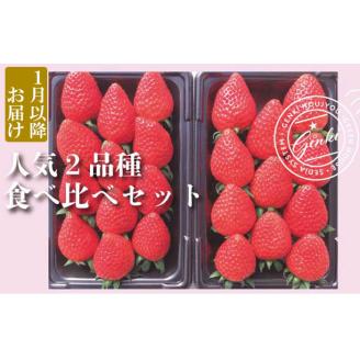 【 予約受付 】 いちご 食べ比べ 560g