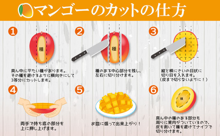 【2024年発送】名護市最北端イナミファームの　優品　アップルマンゴー 1.5Kg