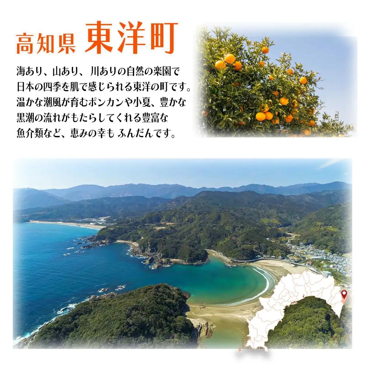 ＜数量限定＞ウチワエビ（ボイル）7匹前後 500gセット【S246】
