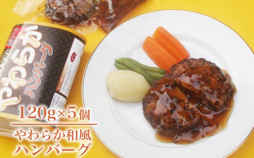 手作り ハンバーグ やわらか クラフト ハンバーグ 120g × 5個 ソース付  国産 野菜 たっぷり ハンバーグ 家族へのこだわり惣菜 ハンバーグ