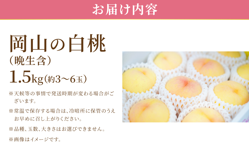 【先行予約】岡山の白桃・晩生　1.5kg箱　9月上旬から順次発送予定 約1.5kg箱