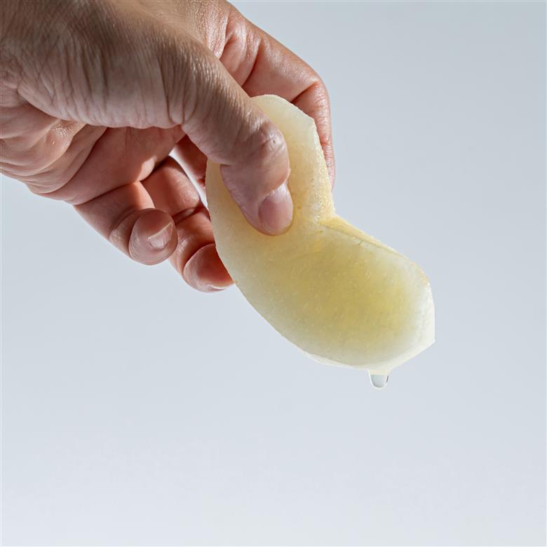 梨 なし 新甘泉 5kg 東郷 (1MS.)| しんかんせん 鳥取県 湯梨浜町 果物 フルーツ 特産品 2026年 先行予約 先行受付