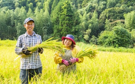 佐藤ファーム 棚田夢つくし 白米10kg【2026年9月下旬より順次発送予定】 夢つくし こめ お米 コメ ごはん ご飯 送料無料 福岡県 うきは市
