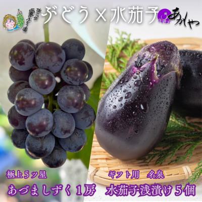 ふるさと納税 岸和田市 贈り物に 夏一番ぶどう極上あづましずく1房と極上泉州水なすぬか漬け5個 計2.5kg