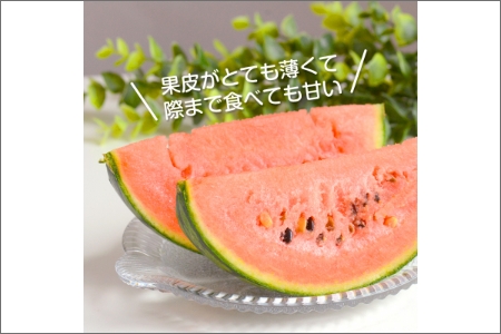 【0140-3】和歌山産小玉すいか ひとりじめ7(2～3玉)