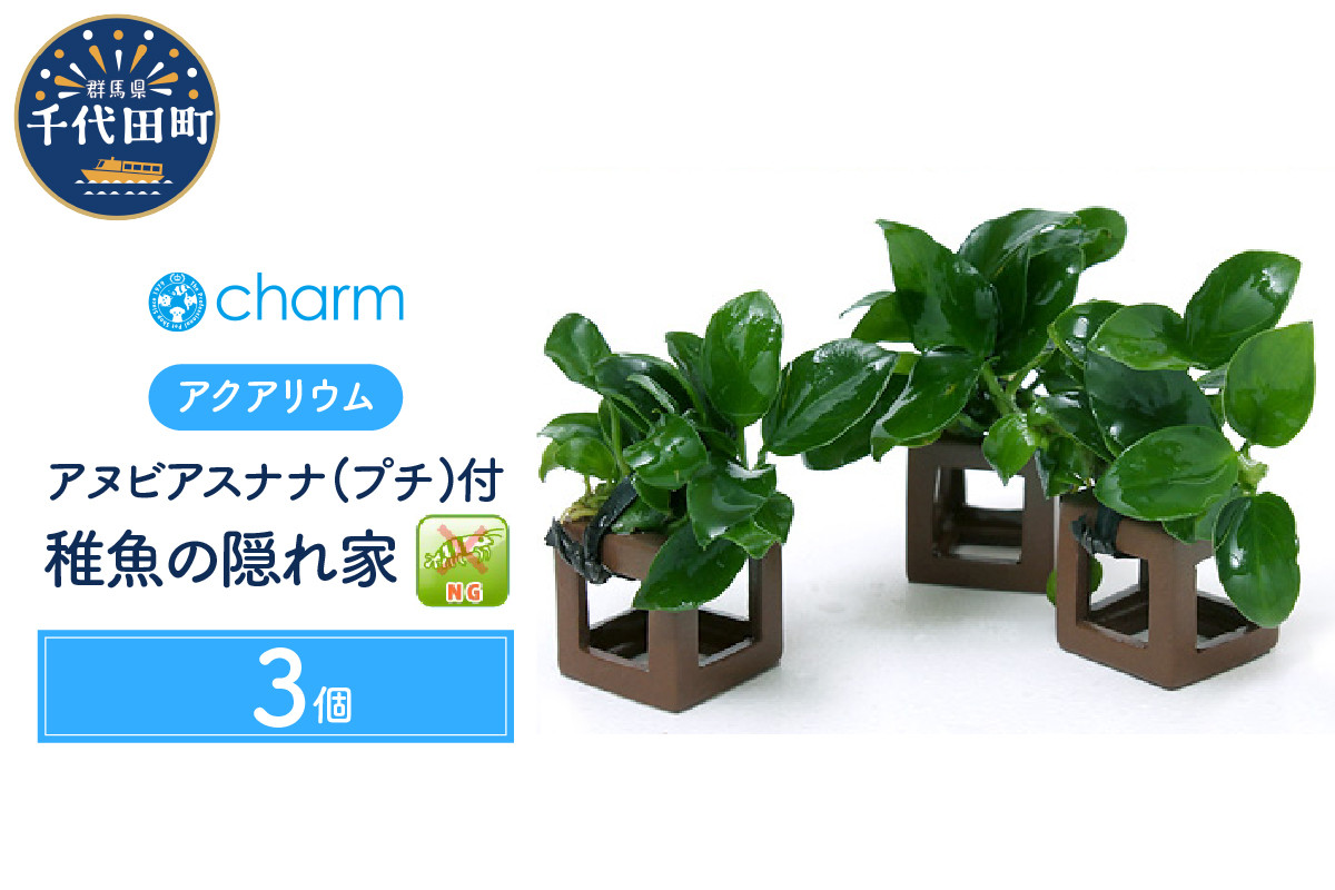 
水草 稚魚の隠れ家 アヌビアスナナ プチ付 水上葉 (３個) 群馬県 千代田町 インテリア ナチュラル 自然 リラクゼーション 室内栽培 プレゼント 送料無料 趣味 緑 人気 オススメ 初心者 玄関 リビング 水槽 アクアリウム 株式会社チャーム
