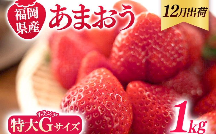 
                  福岡県産 あまおう 1000g （250g×4パック） いちご 12月中発送 いちご 苺 フルーツ 果物 くだもの 大粒Gサイズ グランデ 農家直送 大粒 不揃い 福岡県 福岡 九州 グルメ お取り寄せ
                