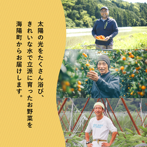 阿波の国海陽町　旬のお野菜詰め合わせセット8‐12品