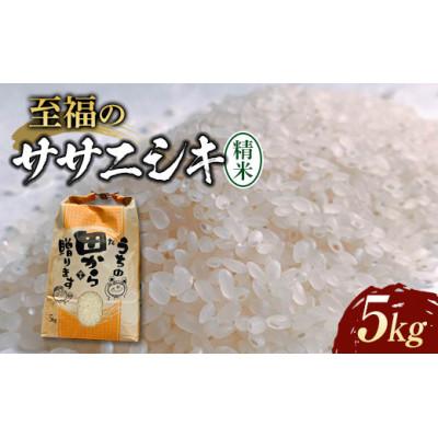 ふるさと納税 新庄市 令和7年　至福のササニシキ(精米)5kg